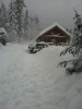 image-907957714.png