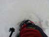image-1938158663.png