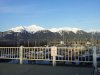 image-425402928.jpg
