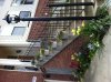 flowers at TH.jpg