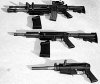 shotgun_2.jpg