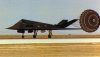 f1173.jpg