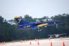 blue angel2.jpg