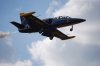 blue angel1.jpg