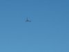 pics 001.jpg
