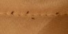 bbugs.jpg
