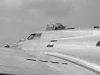 IMGP0425_bw.jpg