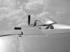 IMGP0427_bw.jpg