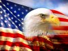 bald_eagle_head_and_american_flag1.jpg