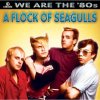 Flock of Seagulls.jpg