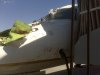 XJT Birdstrike sm.jpg