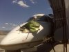 XJT Birdstrike2 sm.jpg
