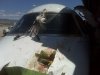XJT Birdstrike3 sm.jpg