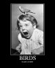 birds-scary-•.jpg