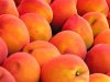 peach10.jpg