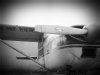 2011-03-04 11.59.50.jpg