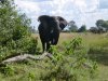 Africa 2011 035.jpg Africa 2011 035.jpg