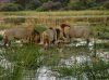 Africa 2011 084.jpg Africa 2011 084.jpg