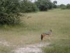 Africa 2011 228.jpg