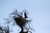 DSC_0012.jpg