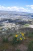 DSC_0065.jpg