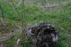 DSC_0083.jpg