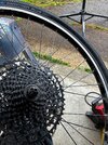 IMG_5103.jpeg