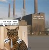 IMG_5363.jpeg