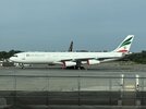 IMG_6739.jpeg