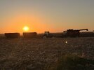 IMG_2469.jpeg