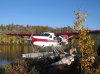 Turbo Otter in the Fall.jpg