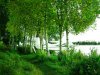 Pics 058 4.jpg