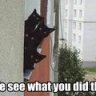 FTen