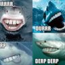 derp