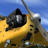 J3 Cub Driver