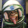 Space Monkey